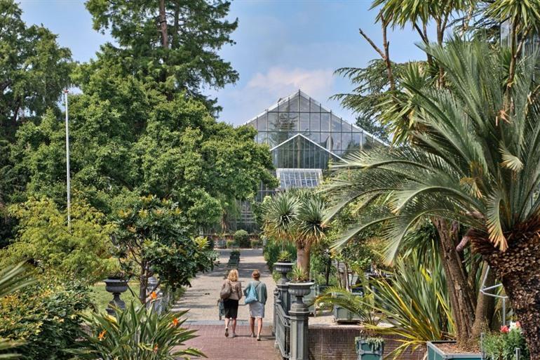 Botanischer Garten, Hortus Botanicus Leiden