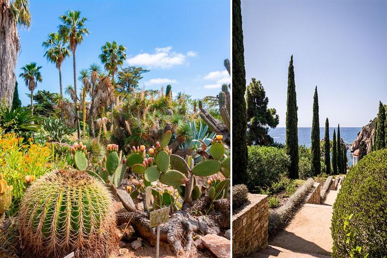 Besuch des Botanischen Gartens Marimurtra an der Costa Brava