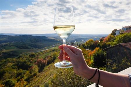 Die Brda-Weinregion in Slowenien besuchen