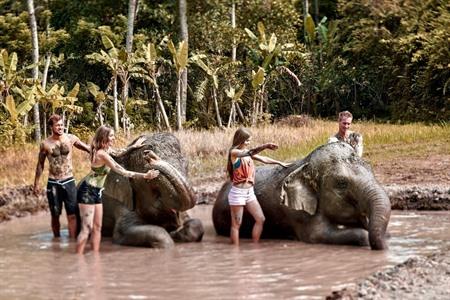 Verbringen Sie einen Tag mit den geretteten Elefanten aus Sumatra