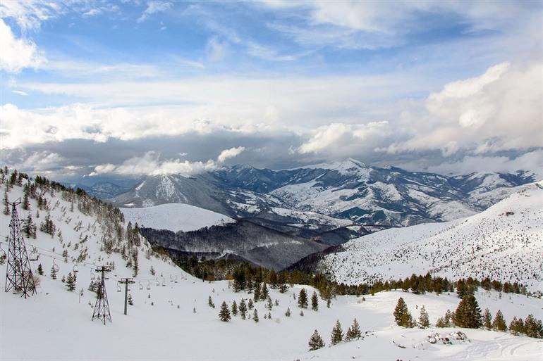 Brezovica