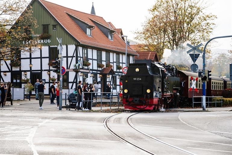 Brockenbahn Dampfeisenbahn in Wernigerode