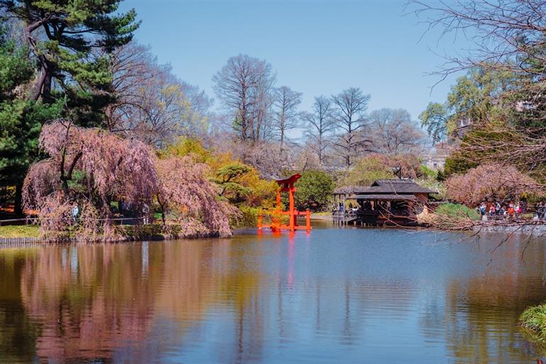 Brooklyn Botanic Garden in New York