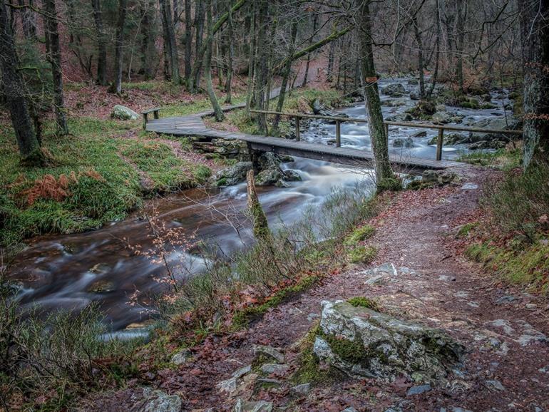 Brücke über den Hoëgne-Fluss