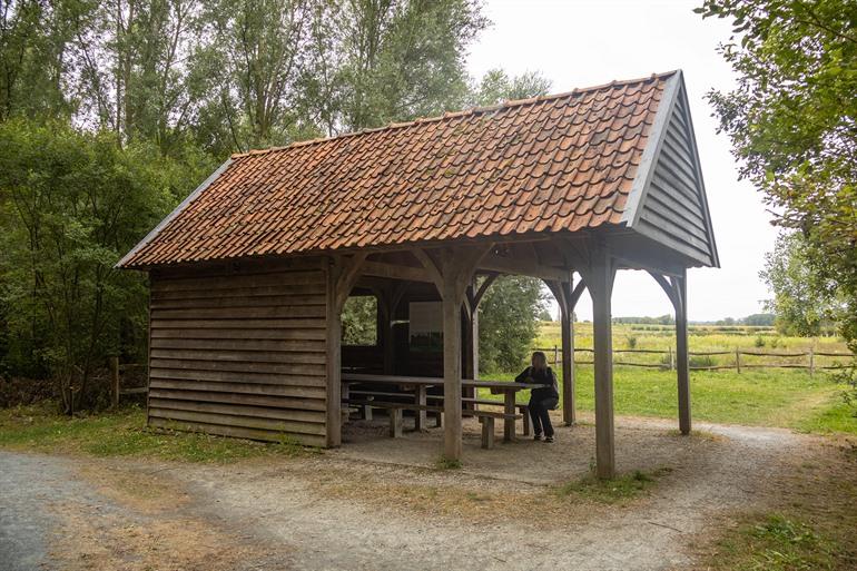 Buggenhoutbos