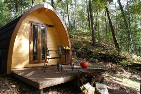 Einzigartige Übernachtungen auf der Veluwe (2026): 15 Unterkünfte von günstig bis luxuriös