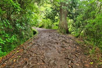 Caldeirão Verde PR9 Wanderung