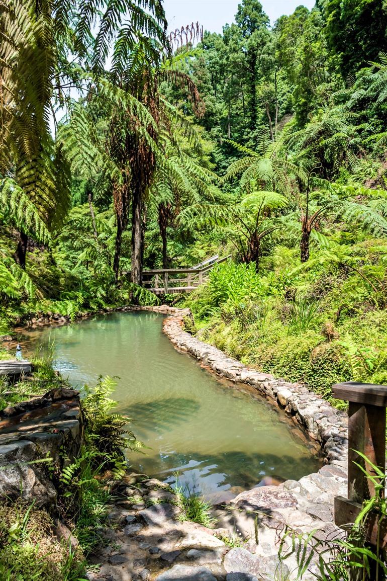 Caldeira Velha, São Miguel
