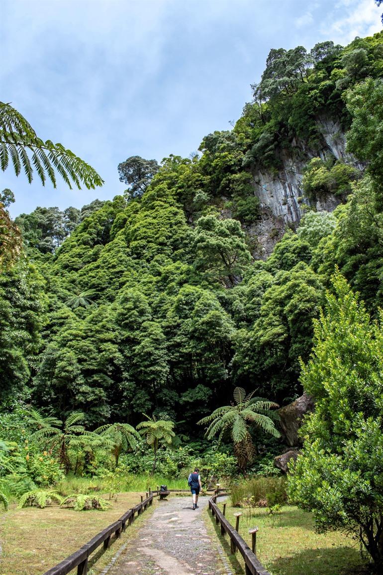 Caldeira Velha, São Miguel