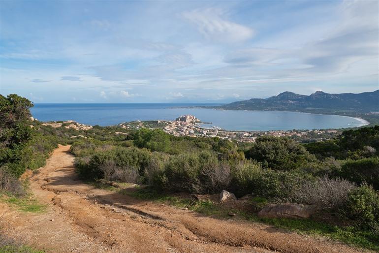 Calvi