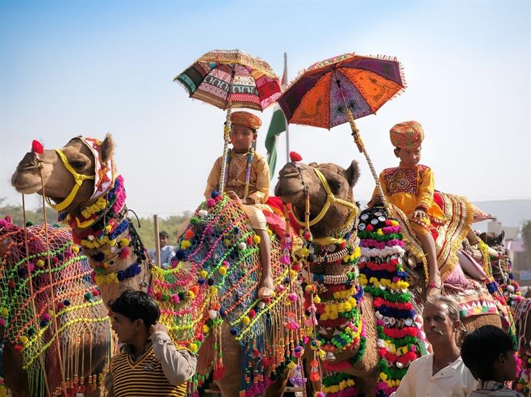 Kamelmesse: Pushkar, Indien