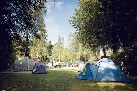 Camping Martbusch buchen