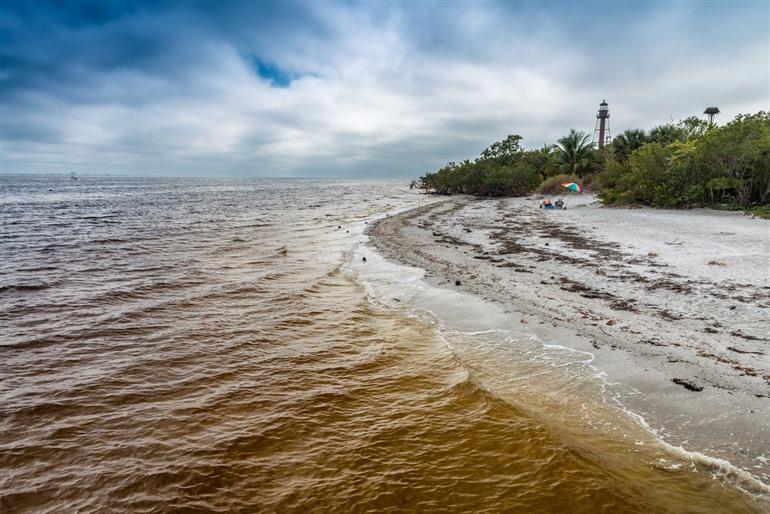 Captiva Island Florida