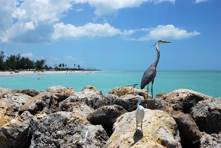 Captiva Island Florida