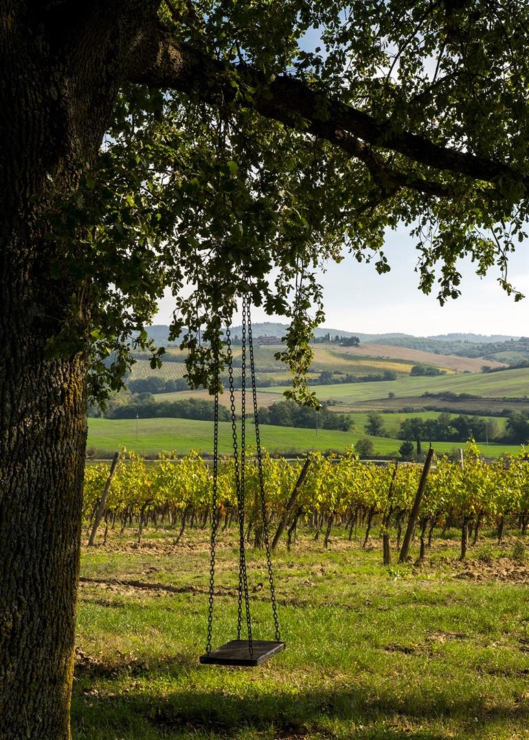 Weinberge in Castellina in Chianti
