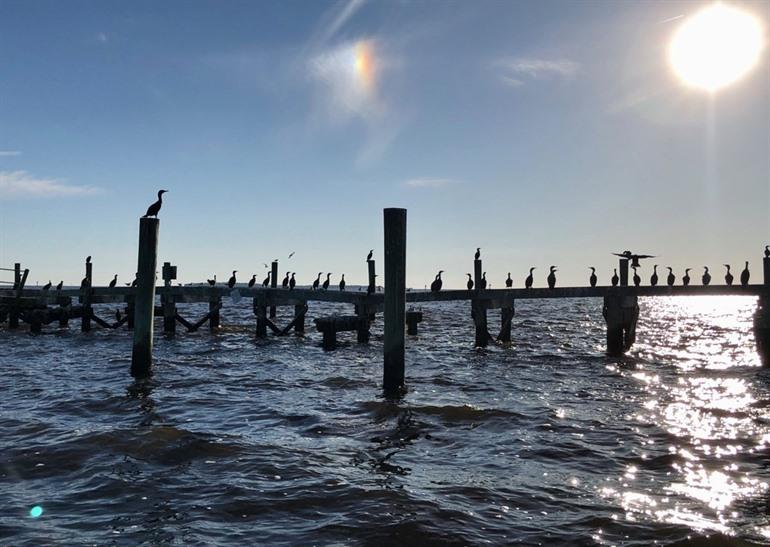 Cedar Key