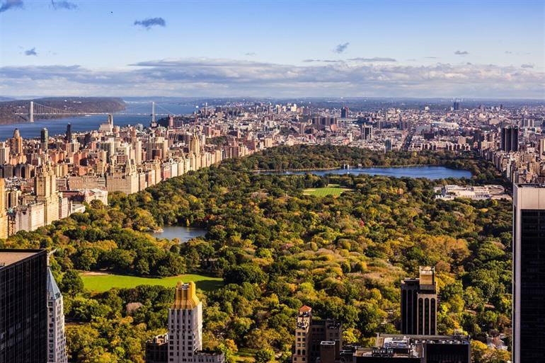 Central Park in New York