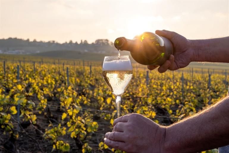 Champagnerverkostung in Cramant, Côte des Blancs, mit Sonnenuntergang im Hintergrund