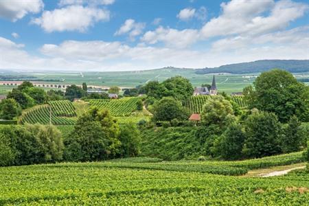 Champagnerregion