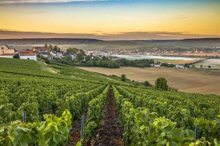 Champagnerregion