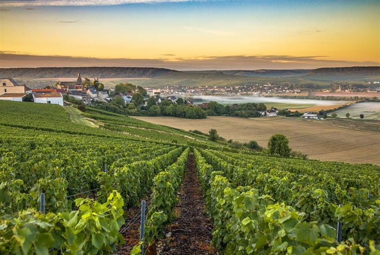 Champagnerregion