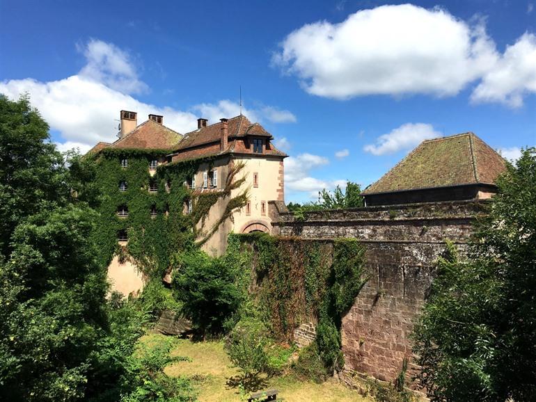 Schloss La Petite-Pierre im Regionalen Naturpark Nordvogesen