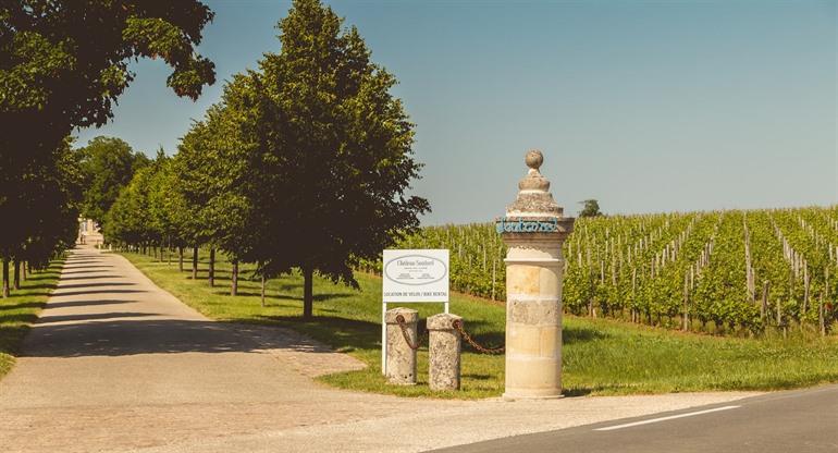 Château Soutard, Bordeaux