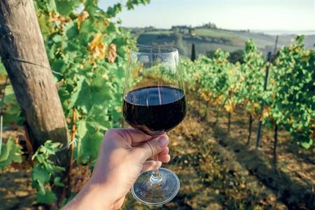 Chianti-Wein in der Toskana