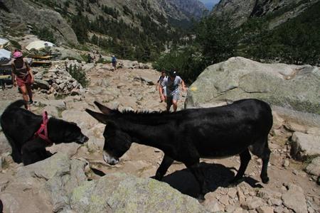 Korsika, die 14 schönsten Naturplätze und Wanderungen