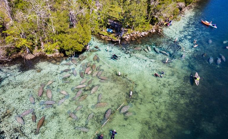 Crystal River