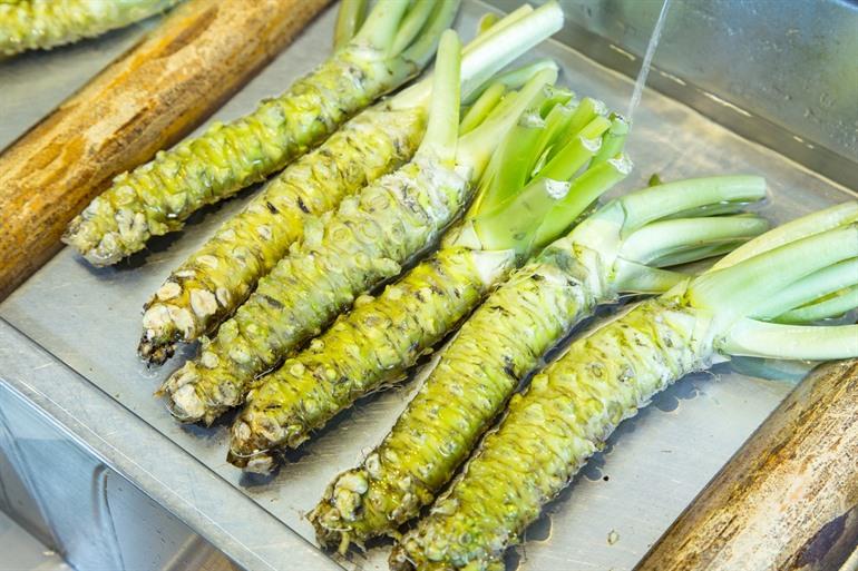 Daio Wasabi Farm