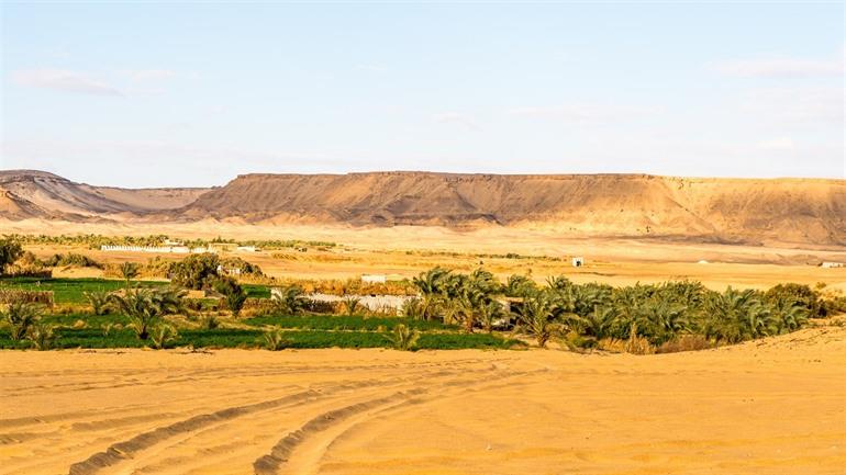Die Bahariya-Oase