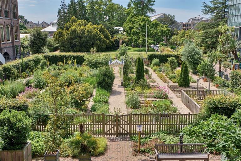 Der Clusiusgarten im Hortus Botanicus Leiden