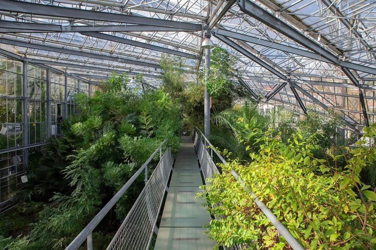 Das Drieklimatenkas, Hortus Botanicus Amsterdam