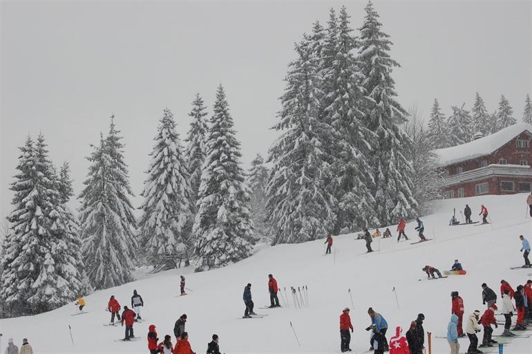 Der Feldberg im Schwarzwald