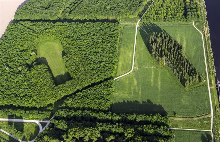 Die Grüne Kathedrale, Land Art in Flevoland