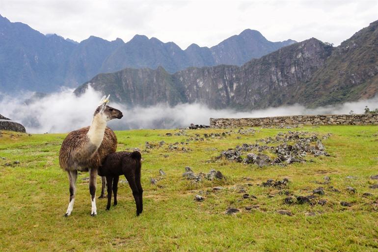 Das Heilige Tal nördlich von Cuzco