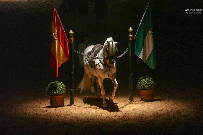 Die Königliche Reitschule und Pferdeshow in Jerez de la Frontera