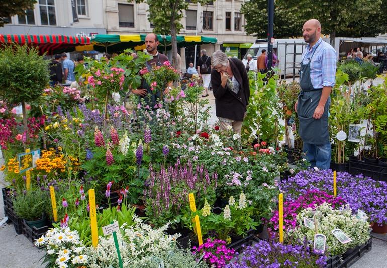 Der Blumenmarkt am Kouter