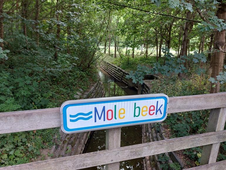 Molenbeek, Brüssel