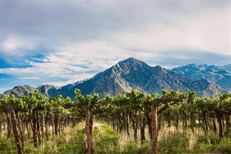 Cafayate: die 7 schönsten Sehenswürdigkeiten im argentinischen Dorf