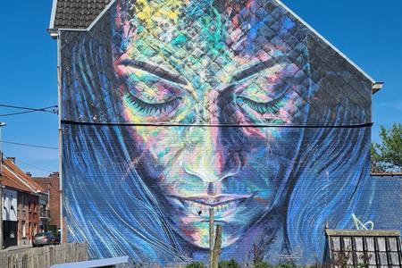 Die schlafende Frau David Walker in Roeselare