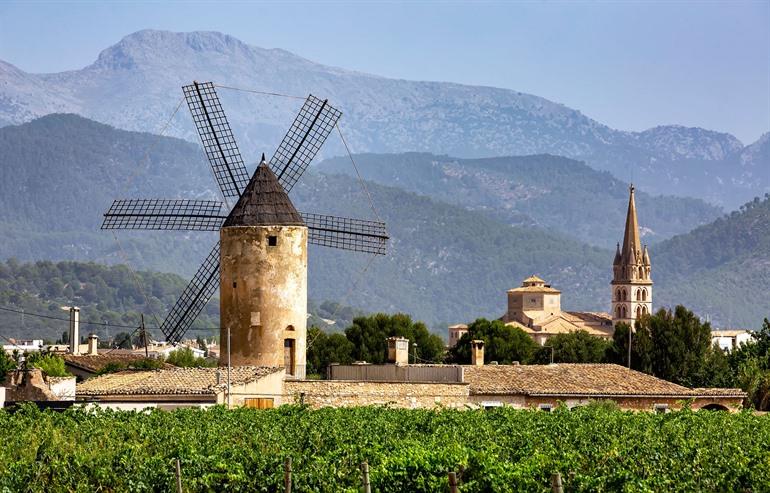 Die Weinberge von Binissalem, Mallorca