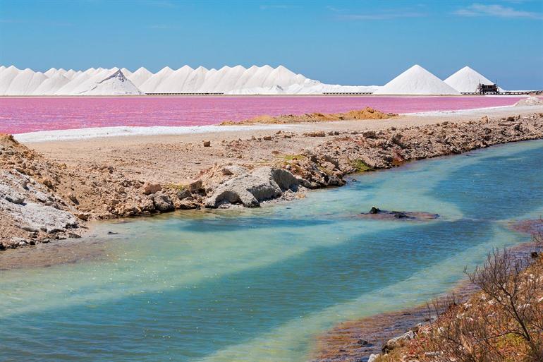 Die Salzpfannen von Bonaire