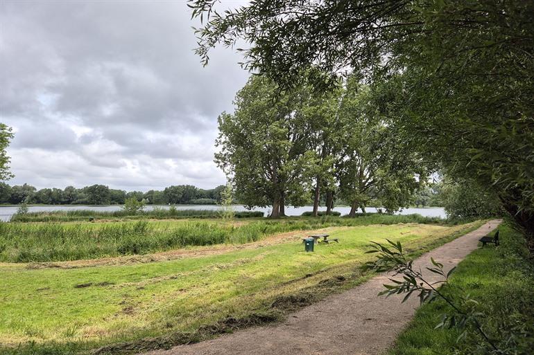 Delftse Hout, Delft