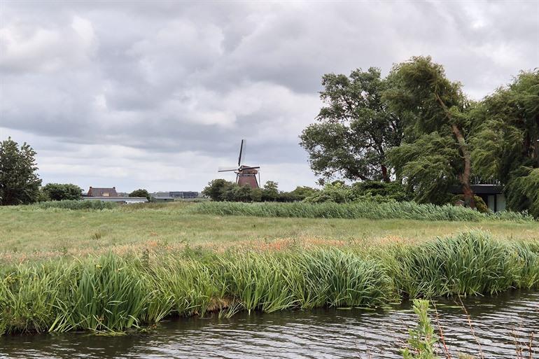 Delftse Hout, Delft