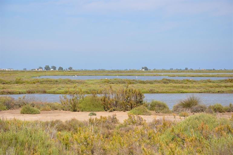 Delta des Ebro in Tarragona, Katalonien