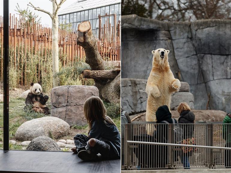 Kopenhagener Zoo, Dänemark