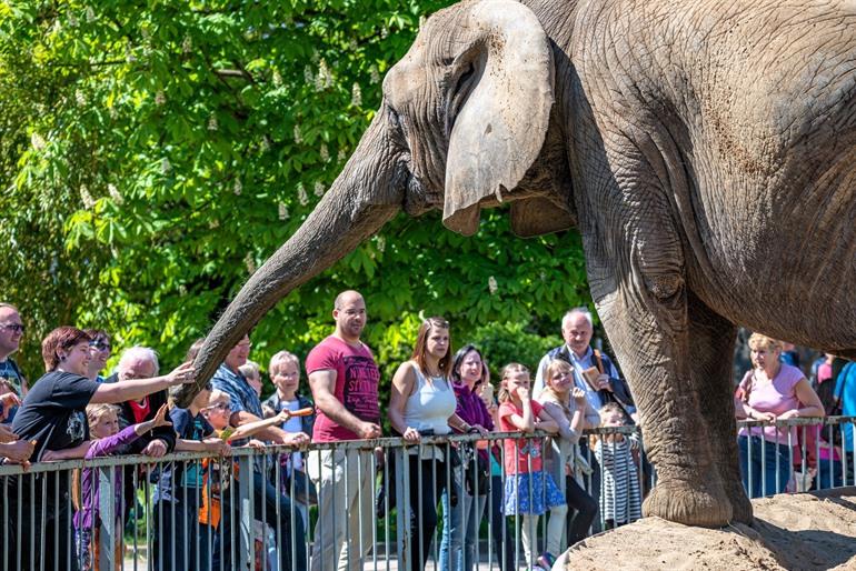 Den Zoo in Magdeburg besuchen