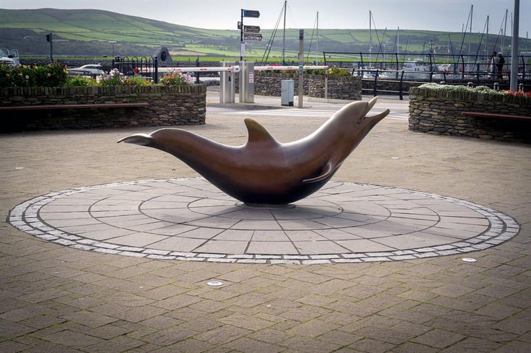 Dolfijn Fungie, der berühmteste Einwohner von Dingle, Irland